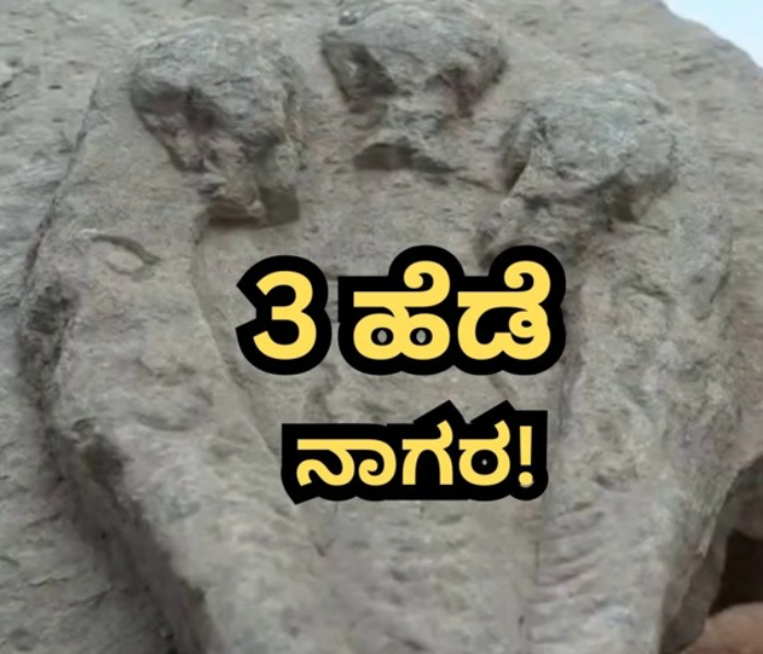  Secret Of The Treasure | ಲಕ್ಕುಂಡಿಯಲ್ಲಿ ನಿಧಿಗೂ ಹಾವಿಗೂ ರಹಸ್ಯ ಏನು? | Speed News Kannada