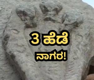  Secret Of The Treasure | ಲಕ್ಕುಂಡಿಯಲ್ಲಿ ನಿಧಿಗೂ ಹಾವಿಗೂ ರಹಸ್ಯ ಏನು? | Speed News Kannada