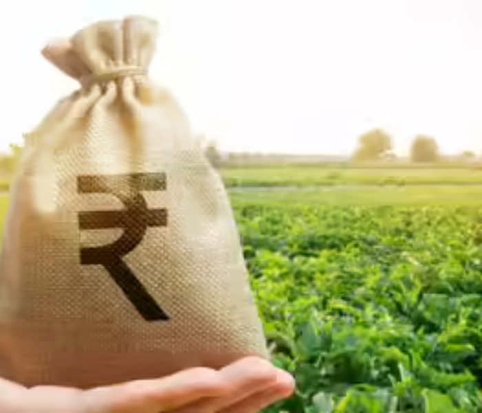 Plan To Make Agriculture A Global Brand | ಕೃಷಿಯನ್ನು ಜಾಗತಿಕ ಬ್ರ್ಯಾಂಡ್ ಮಾಡುವ ಯೋಜನೆ, ಬಜೆಟ್‌ನಲ್ಲಿ ರೈತರಿಗೆ ಏನೆಲ್ಲಾ ಘೋಷಣೆ? | Speed News Kannada 