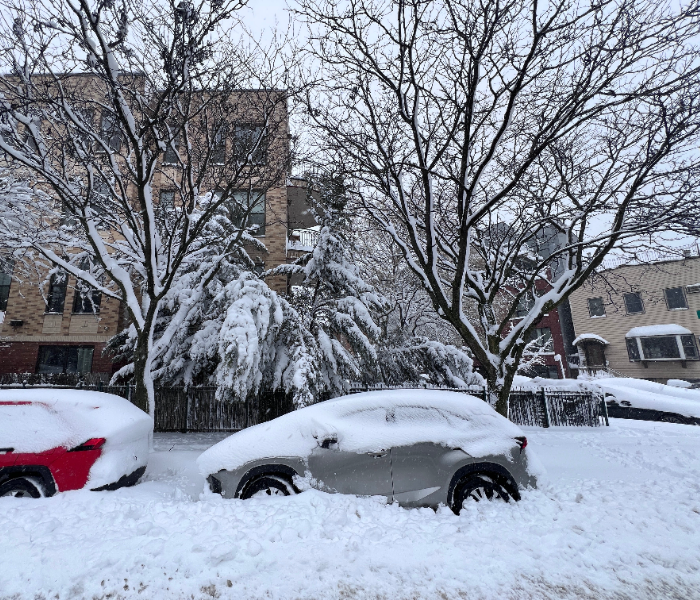 Heavy snowfall in America | ಅಮೆರಿಕದಲ್ಲಿ ಭಾರಿ ಹಿಮಪಾತ 5600ಕ್ಕೂ ಹೆಚ್ಚು ವಿಮಾನ ರದ್ದು, ತುರ್ತು ಪರಿಸ್ಥಿತಿ ಘೋಷಣೆ | Speed News Kannada