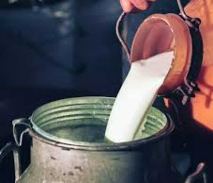 Four die after consuming adulterated milk | ಕಲಬೆರೆಕೆ ಹಾಲು ಸೇವಿಸಿ ನಾಲ್ವರ ಸಾ*ವು ಓರ್ವನ ಬಂಧನ | Speed News Kannada