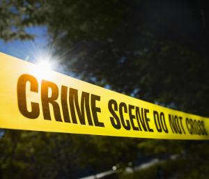 Shivamogga shocked | ತಲೆ ಮೇಲೆ ಕಲ್ಲು ಎತ್ತಿಹಾಕಿ ವ್ಯಕ್ತಿಯ ಕೊಲೆ ಬೆಚ್ಚಿಬಿದ್ದ ಶಿವಮೊಗ್ಗ | Speed News Kannada