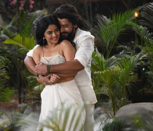 Cheeta | ಯುಗಳಗೀತೆಯ ಚಿತ್ರೀಕರಣದೊಂದಿಗೆ ಪ್ರಜ್ವಲ್ ದೇವರಾಜ್ ಅಭಿನಯದ ಚೀತಾ ಚಿತ್ರದ ಚಿತ್ರೀಕರಣ ಪೂರ್ಣ | Speed News Kannada