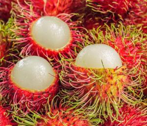 The secret to health lies within the thorny fruit | ಮುಳ್ಳು ಮುಳ್ಳಿನ ಹಣ್ಣಿನೊಳಗೆ ಅಡಗಿದೆ ಆರೋಗ್ಯದ ಗುಟ್ಟು ರಂಬುಟಾನ್ ಸೇವನೆಯ ಈ 5 ಲಾಭಗಳು ನಿಮಗೆ ಗೊತ್ತೇ | Speed News Kannada