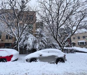 Heavy snowfall in America | ಅಮೆರಿಕದಲ್ಲಿ ಭಾರಿ ಹಿಮಪಾತ 5600ಕ್ಕೂ ಹೆಚ್ಚು ವಿಮಾನ ರದ್ದು, ತುರ್ತು ಪರಿಸ್ಥಿತಿ ಘೋಷಣೆ | Speed News Kannada