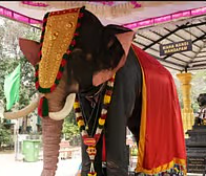 A robotic elephant is coming to carry goddess | ದೇವರ ಪಲ್ಲಕ್ಕಿ ಹೊರಲು ಬರುತ್ತಿದೆ ರೊಬೋಟಿಕ್ ಆನೆ; ಸೋನು ಸೂದ್‌ ಕುಟುಂಬದ ಕೊಡುಗೆ | Speed News Kannada