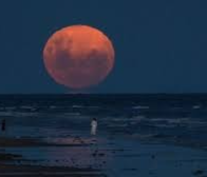 Lunar eclipse in the sky | ನಬೋಮಂಡಲದಲ್ಲಿ ಚಂದ್ರಗ್ರಹಣದ ಲೀಲೆ ಎಲ್ಲೆಲ್ಲಿ ಹೇಗಿತ್ತು | Speed News Kannada