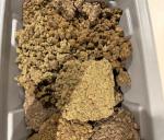 Ganja worth ₹1.57 crore seized in Bangalore Airport | ಬೆಂಗಳೂರು ವಿಮಾ...