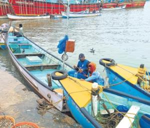 Impact of war on fisheries, energy crisis | ಮೀನುಗಾರಿಕೆ ಮೇಲೆ ಯುದ್ಧದ ಪ್ರಭಾವ, ಇಂಧನ ಬಿಕ್ಕಟ್ಟು | Speed news kannada