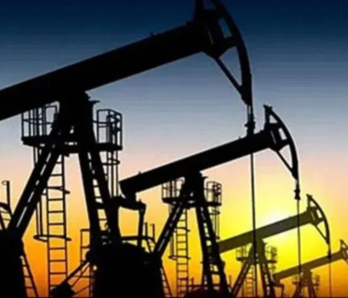 Huge upheaval in global oil markets|ಜಾಗತಿಕ ತೈಲ ಮಾರುಕಟ್ಟೆಯಲ್ಲಿ ಭಾರಿ ಸಂಚಲನ|Speed News Kannada