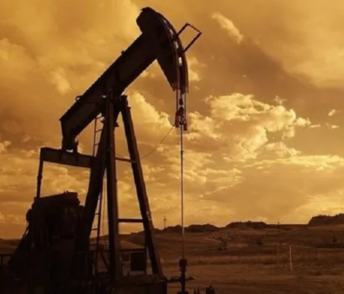 UAE leaves OPEC|ಒಪೆಕ್ ಸಂಘಟನೆಯಿಂದ ಹೊರಬಂದ ಯುಎಇ|Speed News Kannada