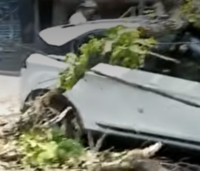Tree falls on car, crushes it in JP Nagar|ಜೆಪಿ ನಗರದಲ್ಲಿ ಕಾರಿನ ಮೇಲೆ ಮರ ಬಿದ್ದು ನಜ್ಜುಗುಜ್ಜು|Speed News Kannada