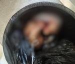 Sinful mother slits child throat and throws it in toilet | ಮಗುವಿನ ಕ...