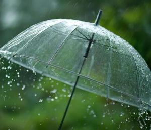 Yellow alert declared for many districts of the state|ರಾಜ್ಯದ ಹಲವು ಜಿಲ್ಲೆಗಳಿಗೆ ಯೆಲ್ಲೋ ಅಲರ್ಟ್ ಘೋಷಣೆ|Speed News Kannada