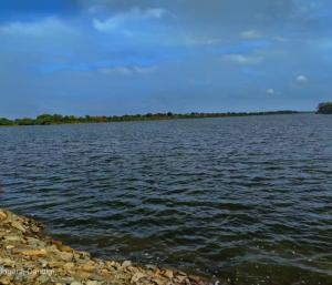 PU student drowns after going for a swim in the river|ನದಿಗೆ ಈಜಲು ಹೋಗಿ ಪಿಯು ವಿದ್ಯಾರ್ಥಿ ಜಲಸಮಾಧಿ|Speed News Kannada 