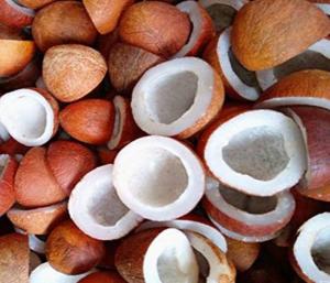 Coconut prices hit record high of ₹32000 per quintal|ಕೊಬ್ಬರಿ ದರ ದಾಖಲೆ ಏರಿಕೆ  ಕ್ವಿಂಟಾಲ್‌ಗೆ ₹32 ಸಾವಿರ|Speed News Kannada