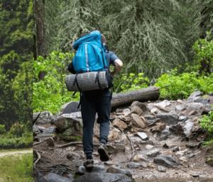 Forest Minister imposes strict rules for trekkers | ಚಾರಣಿಗರಿಗೆ ಸ್ಟ್ರಿಕ್ಟ್ ರೂಲ್ಸ್ ವಿಧಿಸಿದ ಅರಣ್ಯ ಸಚಿವ | Speed news kannada