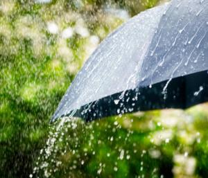 Heavy rain | ರಾಜ್ಯದ ಹಲವೆಡೆ ಐದು ದಿನ ಭಾರೀ ಮಳೆ ಸಾಧ್ಯತೆ | Speed News Kannada