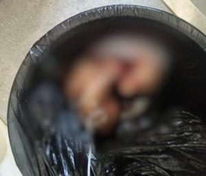 Sinful mother slits child throat and throws it in toilet | ಮಗುವಿನ ಕತ್ತು ಸೀಳಿ ಶೌಚಾಲಯಕ್ಕೆ ಎಸೆದ ಪಾಪಿ ತಾಯಿ | Speed news kannada 