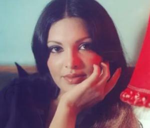 The hidden tragedy behind the lavish life of Bollywood glamour stars |ಬಾಲಿವುಡ್‌ನ ಗ್ಲಾಮರ್ ತಾರೆ ಅದ್ದೂರಿ ಜೀವನದ ಹಿಂದೆ ಅಡಗಿದ ದುರಂತ|Speed News Kannada