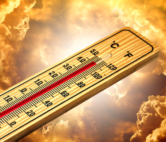 Worker dies due to the heat of the sun | ಯಾದಗಿರಿ ಬಿಸಿಲಿನ ತಾಪಕ್ಕೆ ಕಾರ್ಮಿಕ ಬಲಿ | Speed News Kannada