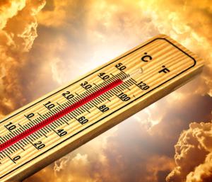 Worker dies due to the heat of the sun | ಯಾದಗಿರಿ ಬಿಸಿಲಿನ ತಾಪಕ್ಕೆ ಕಾರ್ಮಿಕ ಬಲಿ | Speed News Kannada