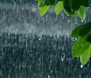 Monsoon to arrive in Andaman between May 14-16|ಮೇ 14–16ರೊಳಗೆ ಅಂಡಮಾನ್‌ಗೆ ಮಾನ್ಸೂನ್ ಪ್ರವೇಶ|Speed News Kannada