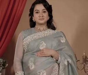 Actress Harshika | ರೆಟ್ರೊ ಸೀರೆ ಹಾಲಿವುಡ್ ತಾರೆ ಕೇಶವಿನ್ಯಾಸ ಬೇಬಿಬಂಪ್‌ ಬಗ್ಗೆ ನಟಿ ಹರ್ಷಿಕಾ ಮಾತು | SNK